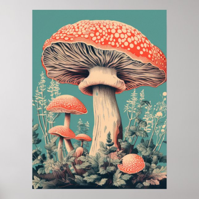 Poster Fairy Tale Fungi (Devant)