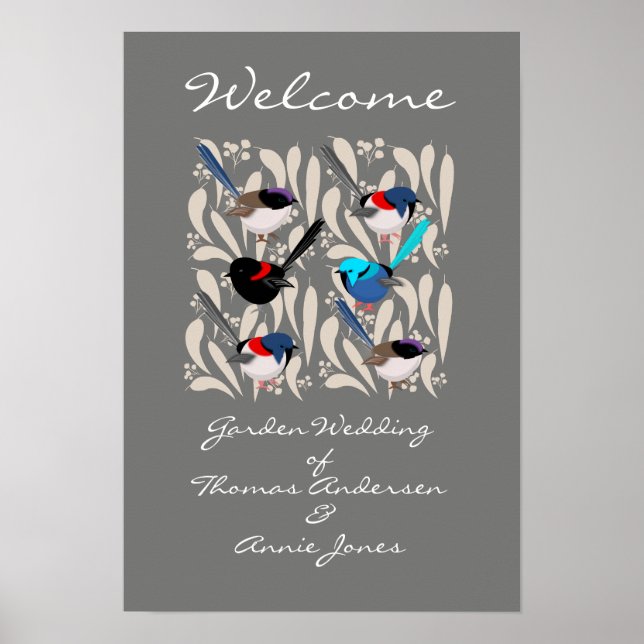 Poster Fairy Wrens (Devant)