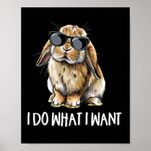 Poster Faites Ce Que Je Veux Mini Holland Lop Lapin Lapin