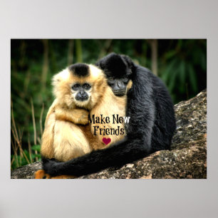 Poster "Faites de nouveaux amis"