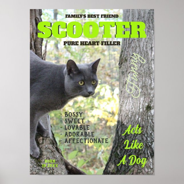 Poster Faites votre couverture de magazine Kitty Cat (Devant)