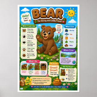 Poster Faits Amusants Sur Les Ours Pour Les Enfants