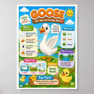 Poster Faits amusants sur l'oie pour les enfants