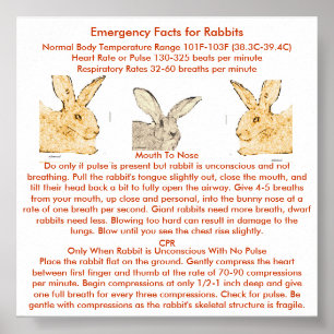 Poster Faits d'urgence pour les lapins géants flamands