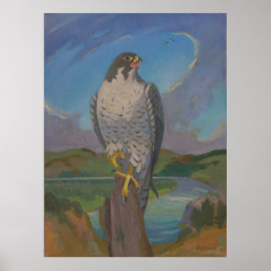 Poster Falco Peregrinus - Faucon pèlerin par Kulhanek