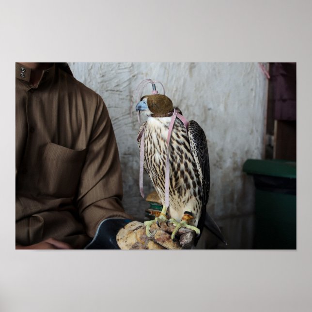 Poster Falcon (Devant)