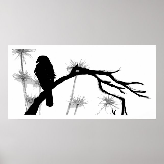 Poster Falcon d'Eleonora (Devant)