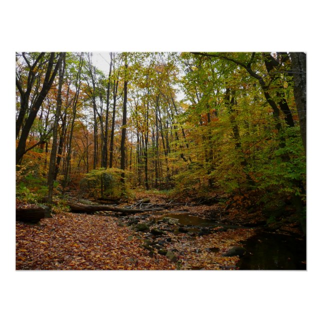 Poster Fall Creek à Laurel Hill State Park Pennsylvania (Devant)