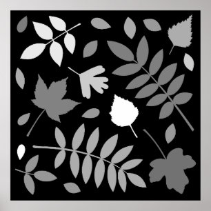 Poster Fallen Feuille Design Gris Blanc Noir