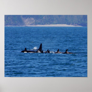 Poster Families Stick Together