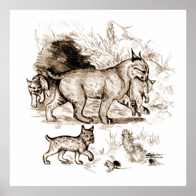Poster Famille Bobcat (Devant)