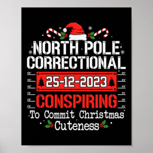 Poster Famille conspirante du pôle Nord