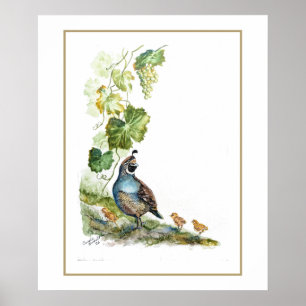 Poster Famille de colins de Californie à l'aquarelle orig