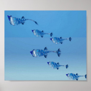 Poster Famille de poissons Info
