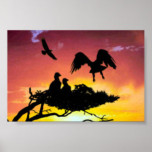Poster Famille Eagle