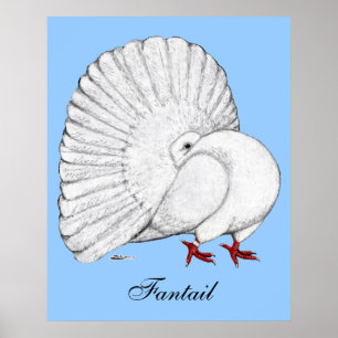 Poster Fantail : Blanc