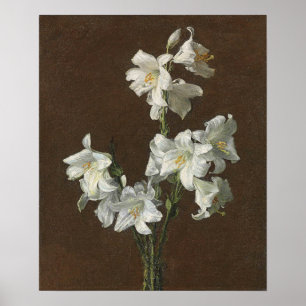 Poster Fantin-Latour - Lys blancs