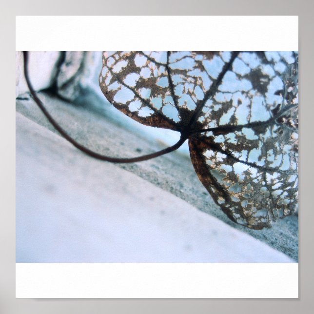 Poster fantômes du printemps (Devant)