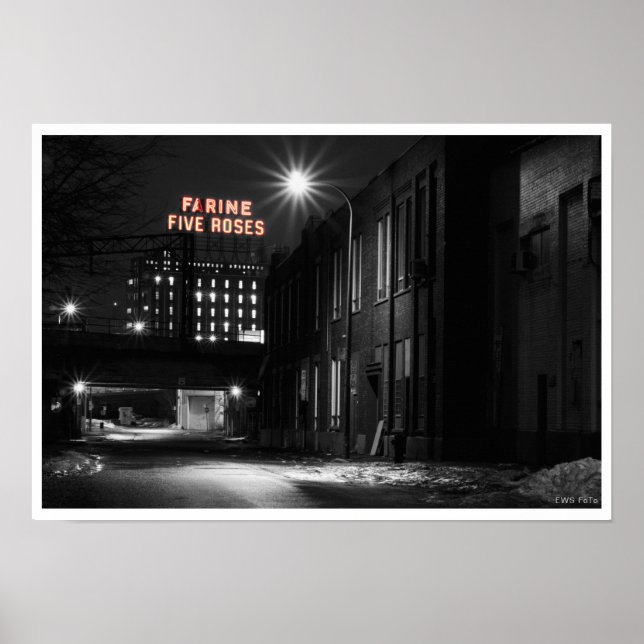 Poster Farine cinq Roses (Devant)