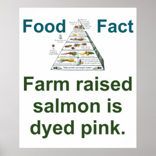 Poster Farm Raised Salmon Is Dyed Pink - Food Fact