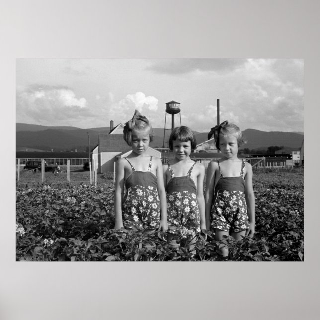 Poster Farmer's Daughters, 1939 (Devant)