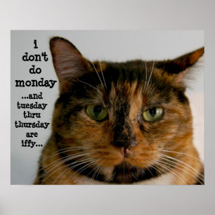 Poster Fat Cat with Attitude, "i don't do monday"