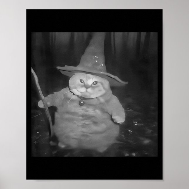 Poster Fat Wizard Cat Fat Kitten Wizard Funny Cat Meme Br (Devant)