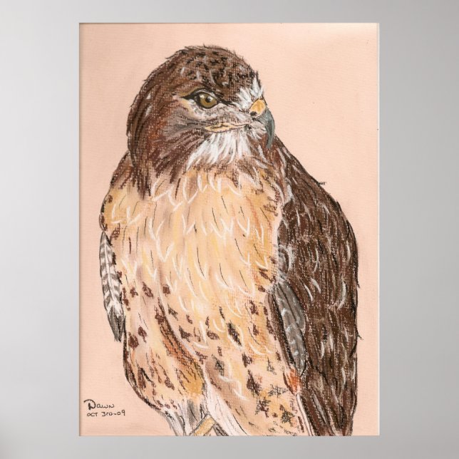 Poster Faucon (Devant)