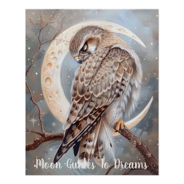Poster Faucon oiseau bébé dormant sur la Lune (Devant)