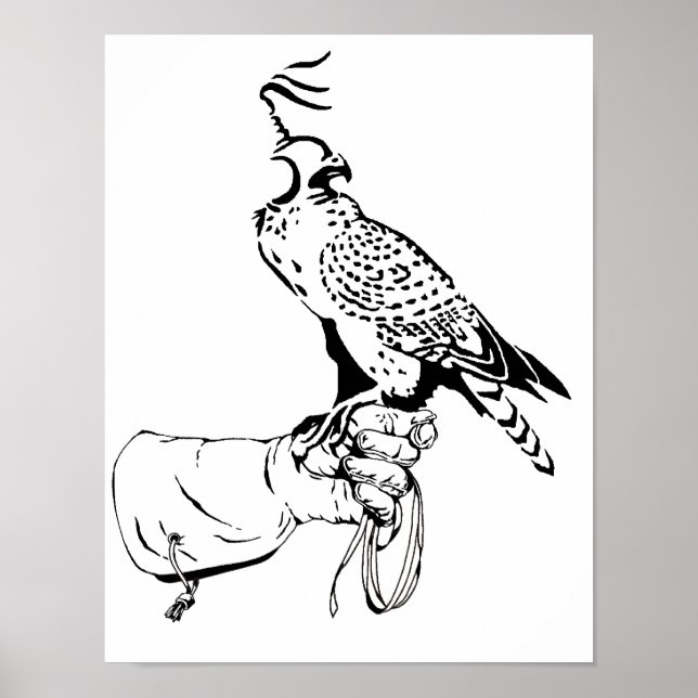 Poster Faucon sur gant (Devant)
