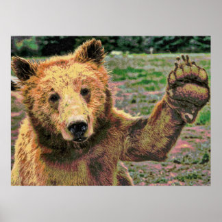 Poster Faune 15 floues