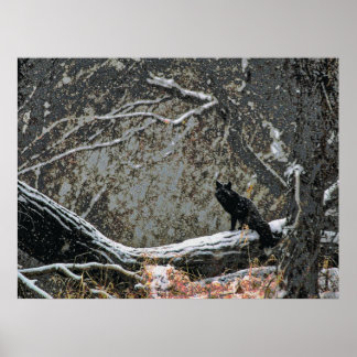 Poster Faune 8 cmyk