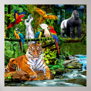 POSTER FAUNE ET FLORE DE LA FORÊT TROPICALE