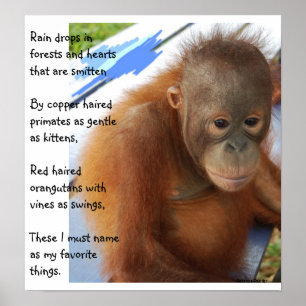 Poster Favoris animaux doux