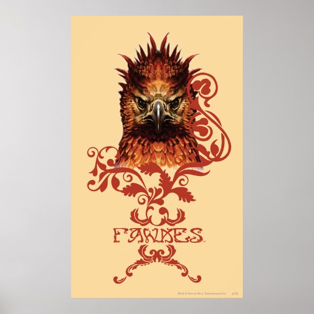 Poster Fawkes Staring (Devant)