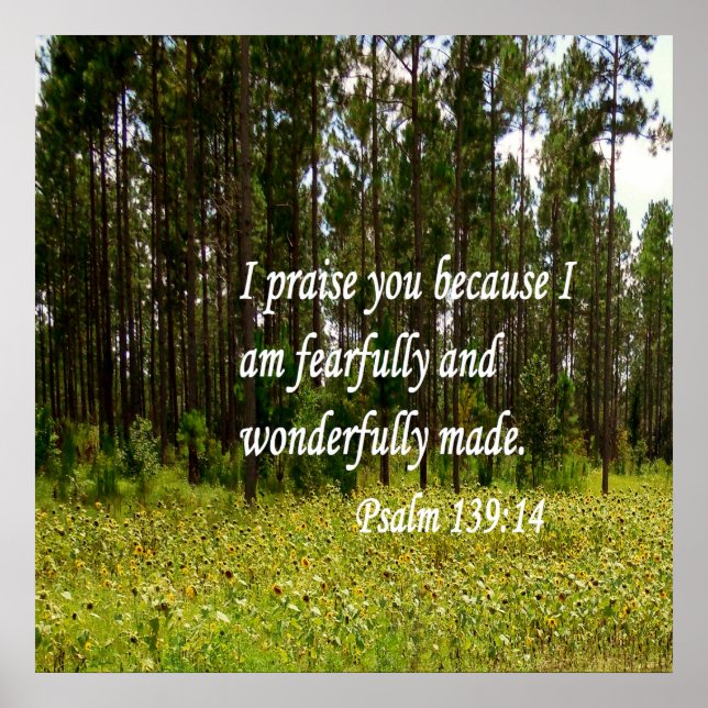 Poster Fearful et merveilleusement fait (Devant)