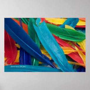Poster Featherly