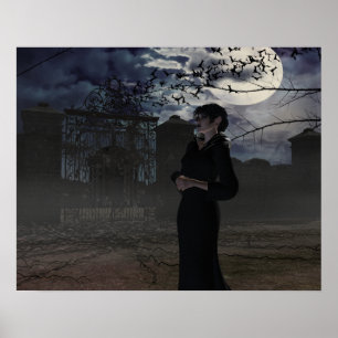 Poster Fée foncée au clair de lune