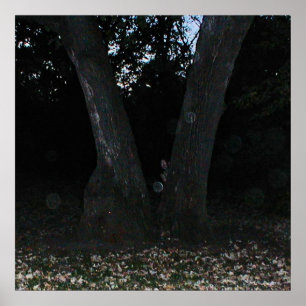 Poster Féerie d'effroi