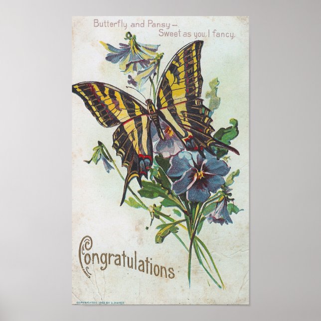 Poster Félicitations (Devant)