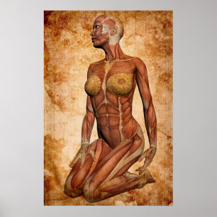 POSTER FEMALE POWER