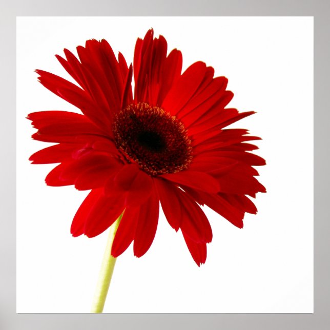 Poster femme en rouge (Devant)