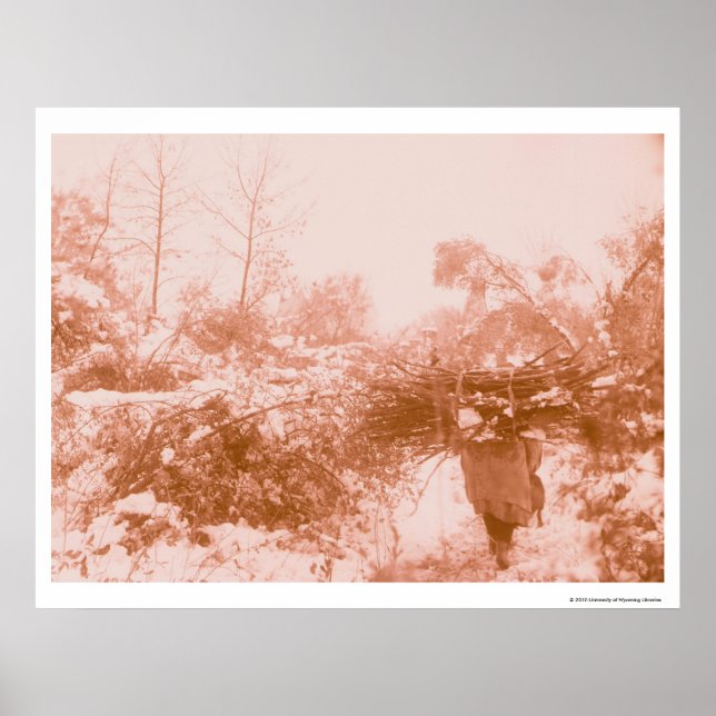 Poster Femme Wood Gatherer (Devant)