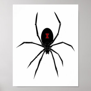 Poster Femmes d'insectes veuves noires de l'Araignée d'Ha