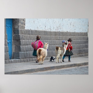 Poster Femmes et alpagas, Cusco, Pérou