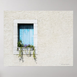 Poster Fenêtre et fenêtre de fleurs dans un mur uni