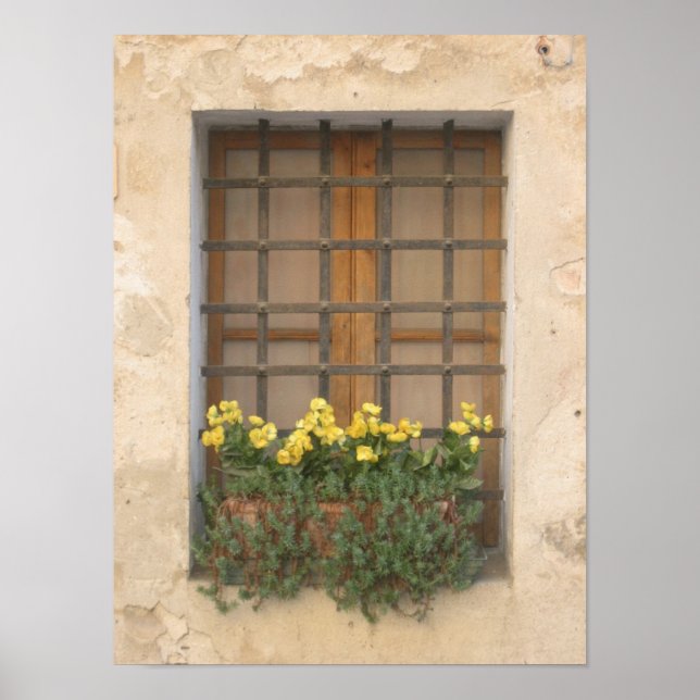 Poster Fenêtre italienne (Devant)