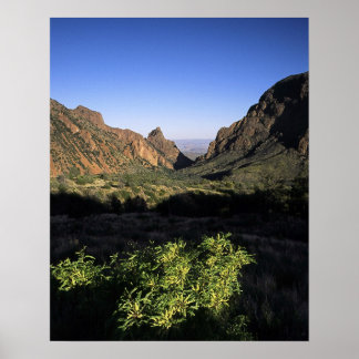 Poster Fenêtre sur le désert