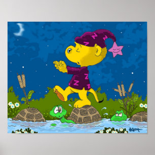 Poster Ferald Sleepwalk Sur Un Étang