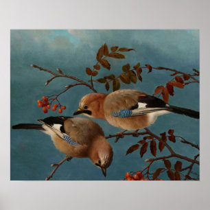 Poster Ferdinand von Wright - Jays